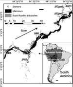 Limnological effects of a large amazonian run-of-river dam on the main river and drowned tributary valleys