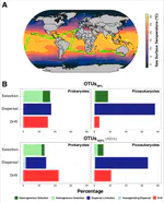Disentangling the mechanisms shaping the surface ocean microbiota